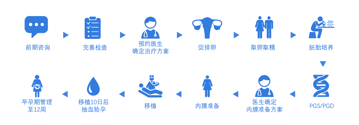 试管婴儿流程